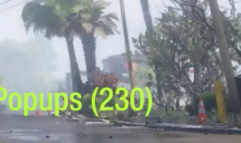 Taco Bomb en GTA 6