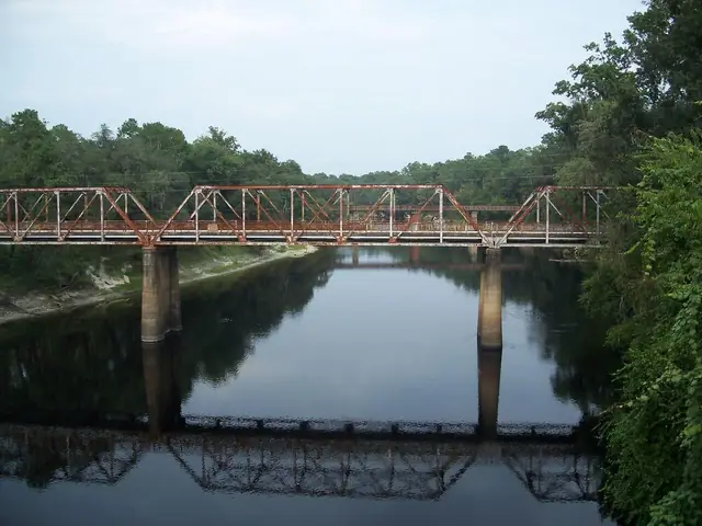 Hillman Bridge, Live Oak