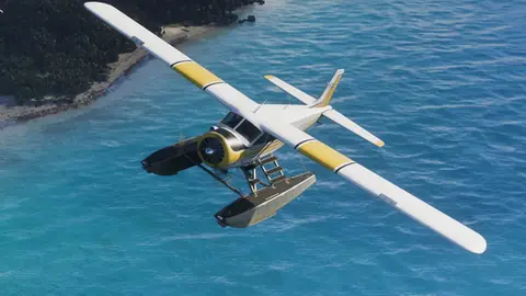 Dodo in GTA VI